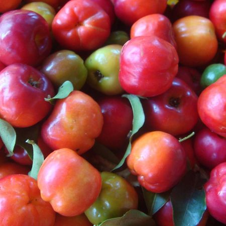 Pousada Peki بورتو سيغورو المظهر الخارجي الصورة
